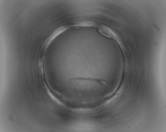 X0000115491433200911061258