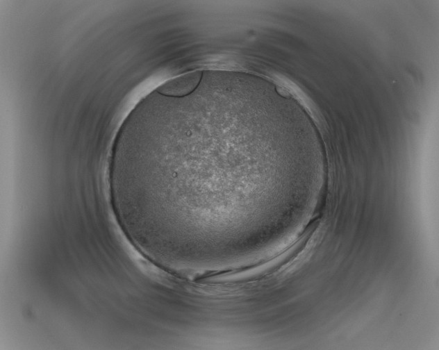 X0000115491434200911061258