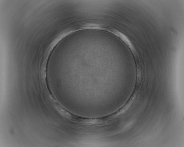 X0000115491435200911061258