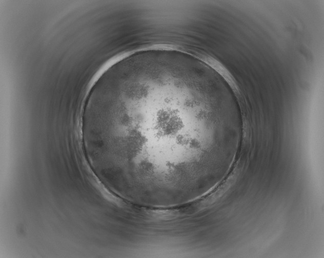 X0000115491436200911061258
