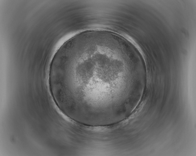 X0000115491437200911061258