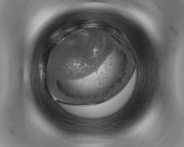 X0000115491438200911061258