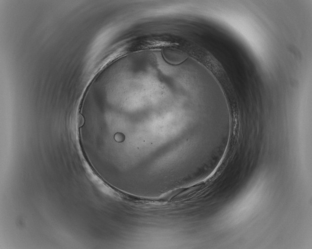 X0000115491439200911061258