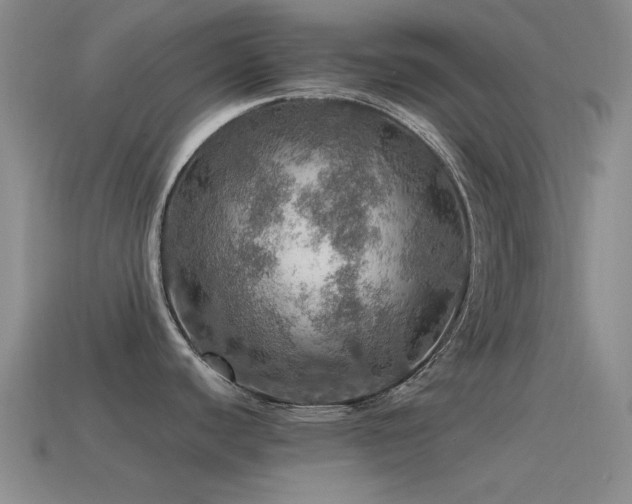X0000115491440200911061258