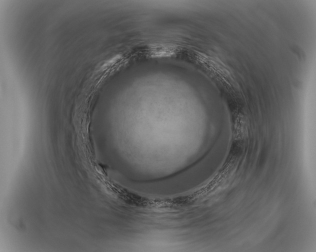 X0000115491441200911061257