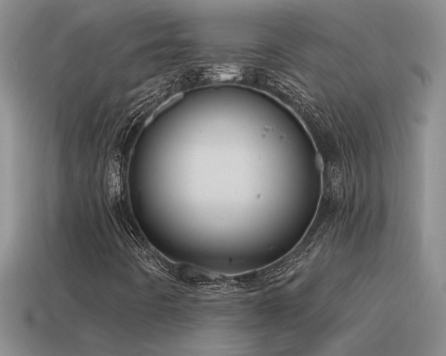 X0000115491442200911061257