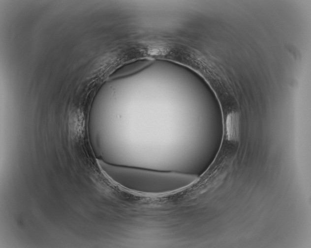 X0000115491443200911061257