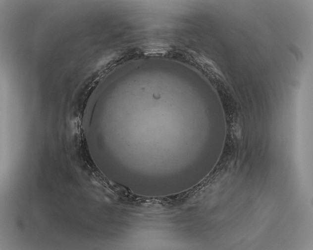 X0000115491445200911061257