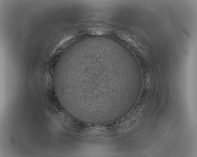X0000115491446200911061257