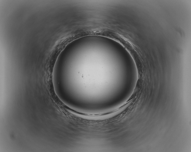 X0000115491447200911061257