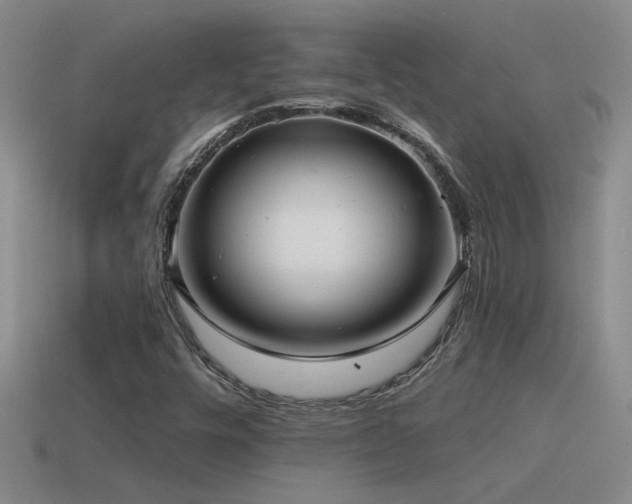 X0000115491448200911061257