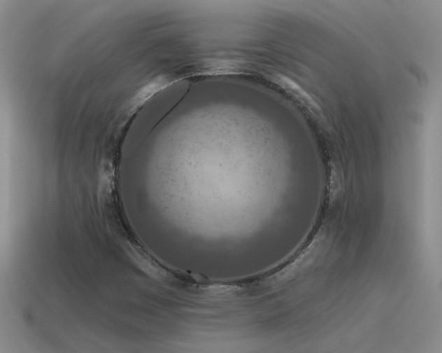 X0000115491449200911061257