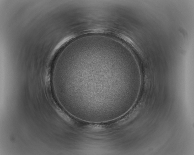 X0000115491450200911061257