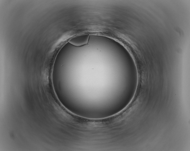 X0000115491451200911061257