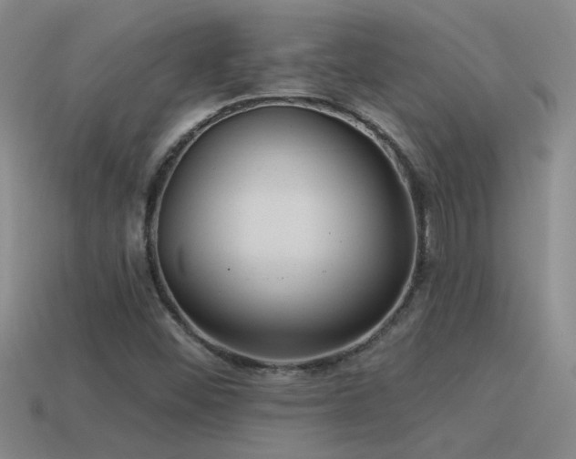 X0000115491452200911061257