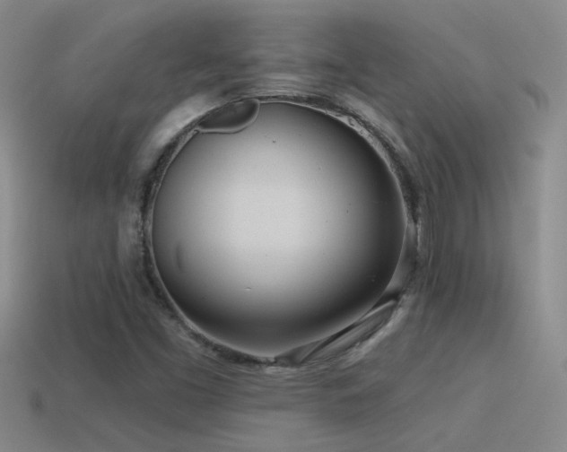 X0000115491453200911061257