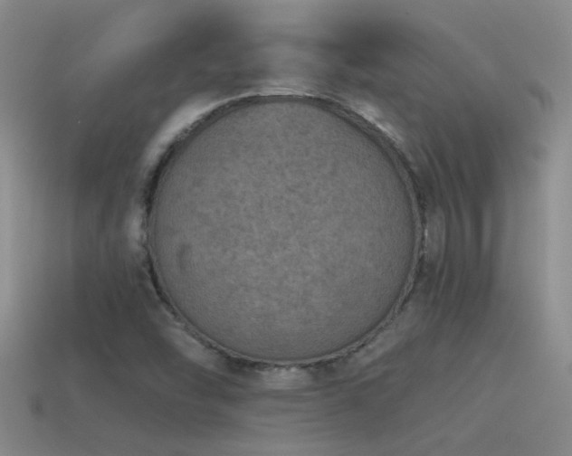 X0000115491454200911061257