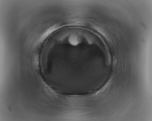 X0000115491455200911061257