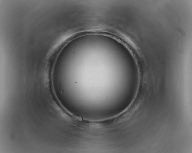 X0000115491456200911061257