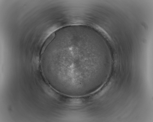 X0000115491457200911061257