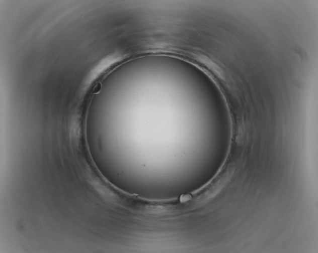 X0000115491458200911061257