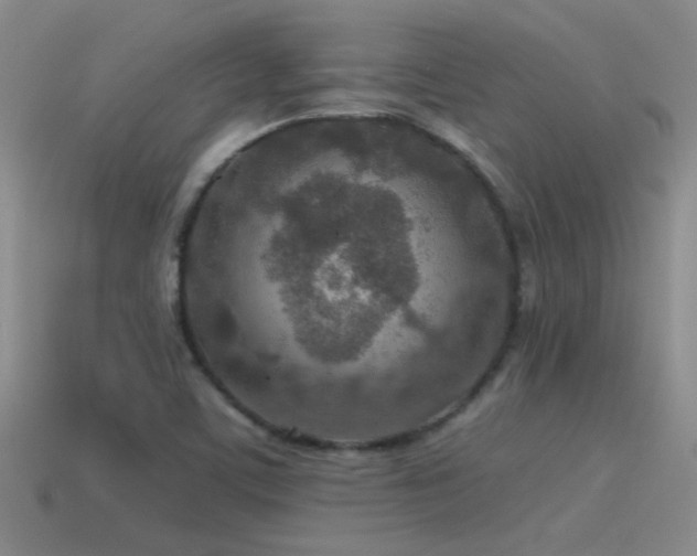 X0000115491459200911061257