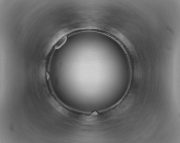 X0000115491460200911061257