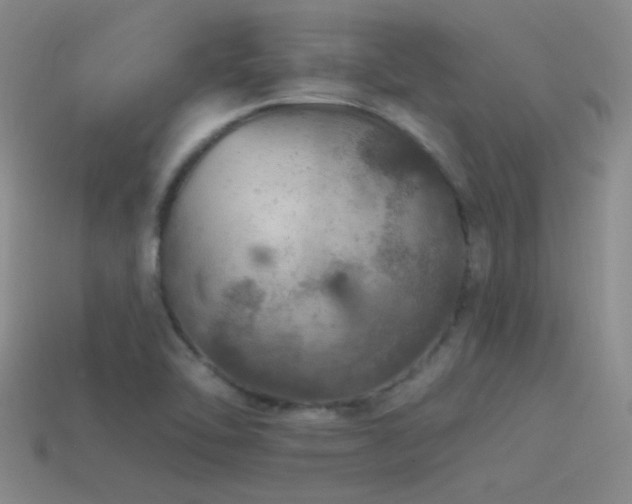 X0000115491462200911061257