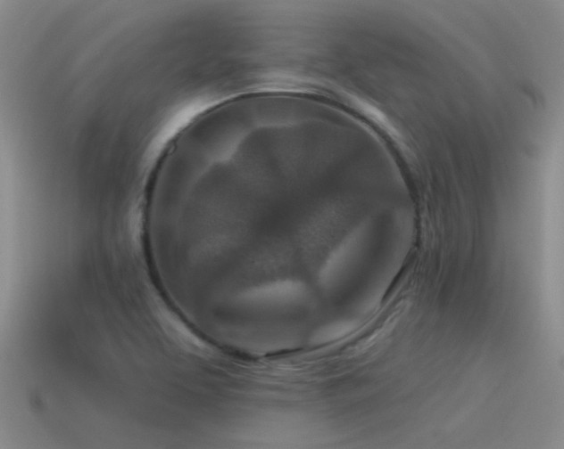 X0000115491463200911061257