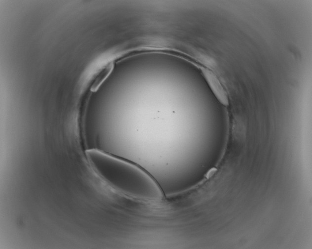 X0000115491464200911061257