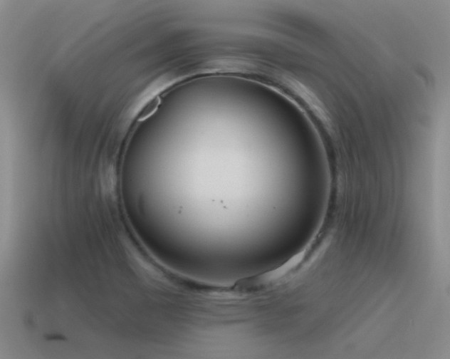 X0000115491465200911061257
