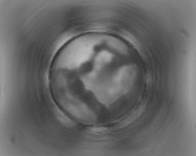 X0000115491466200911061257