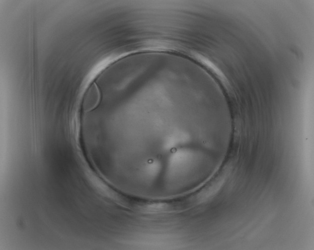 X0000115491467200911061257