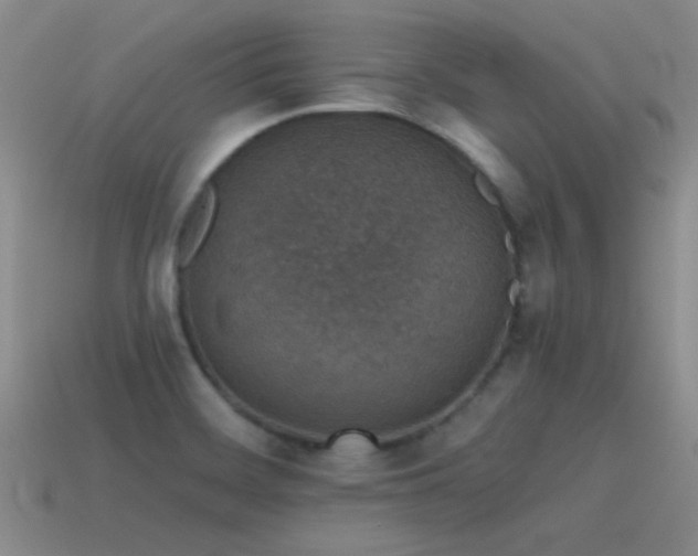 X0000115491468200911061257