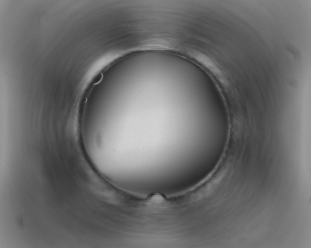 X0000115491469200911061257