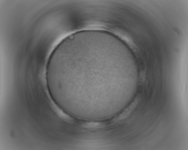 X0000115491470200911061257