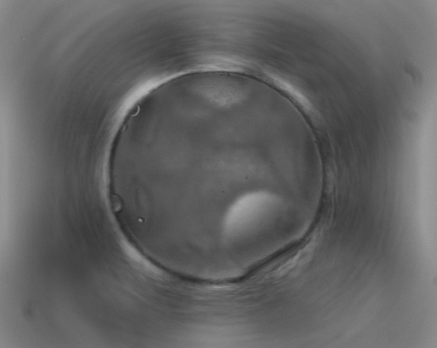 X0000115491471200911061257
