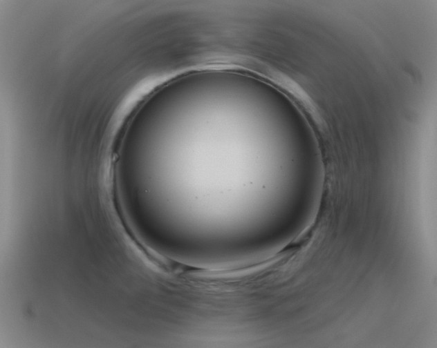 X0000115491472200911061257