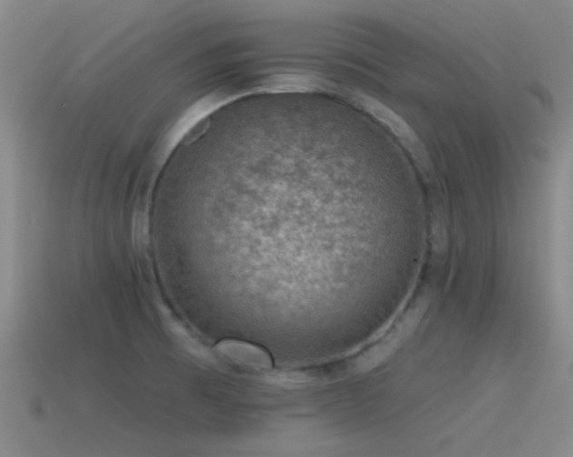 X0000115491473200911061257