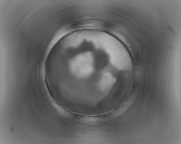 X0000115491474200911061257