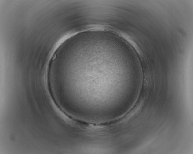 X0000115491475200911061257