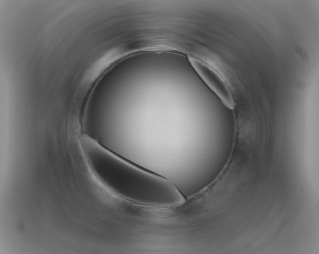 X0000115491476200911061257