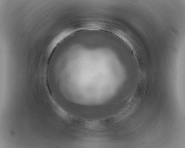 X0000115491477200911061256