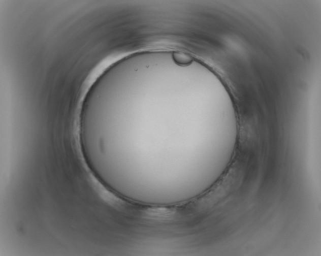 X0000115491478200911061256