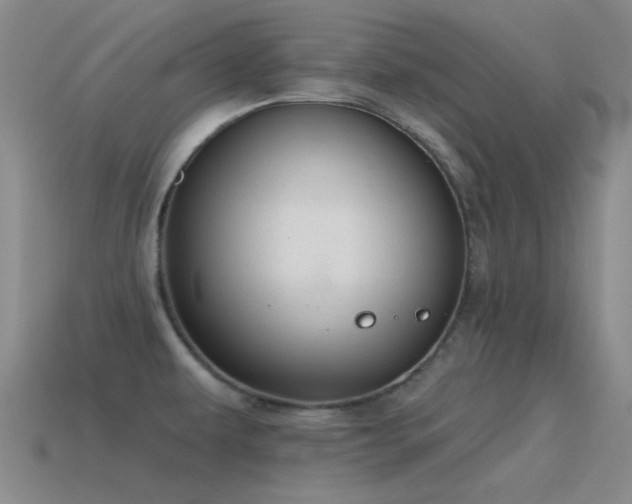 X0000115491479200911061256