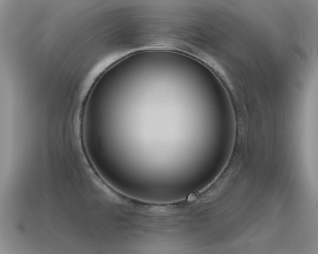 X0000115491480200911061256