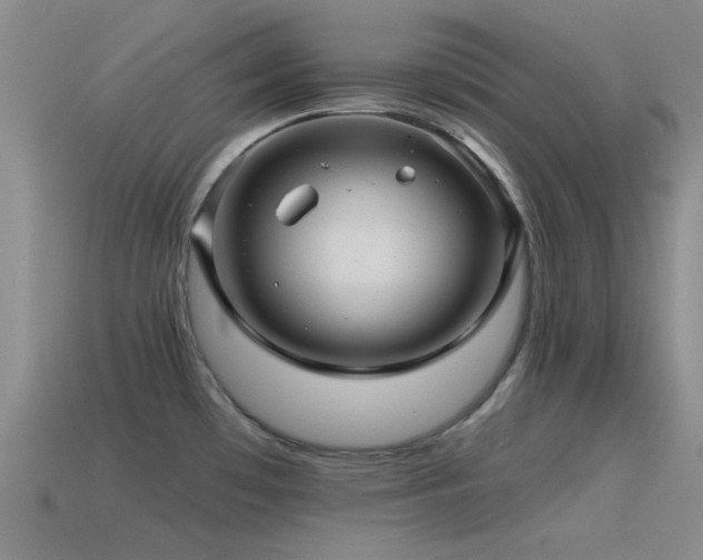 X0000115491481200911061256