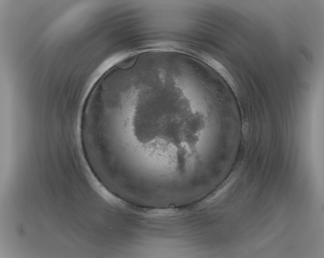 X0000115491482200911061256