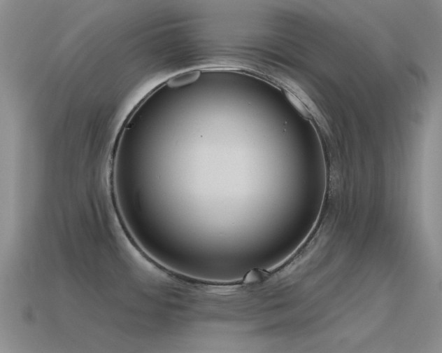X0000115491484200911061256