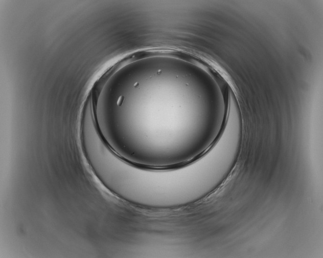 X0000115491485200911061256